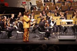 Jugendsinfonieorchester der Städtischen Musikschule (© M. Holz)